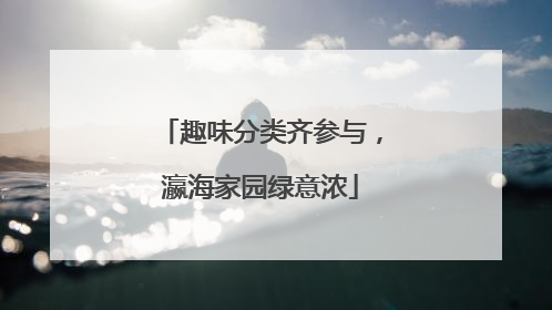 趣味分类齐参与，瀛海家园绿意浓
