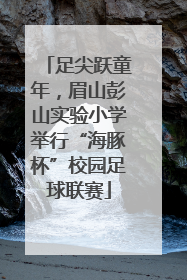足尖跃童年，眉山彭山实验小学举行“海豚杯”校园足球联赛