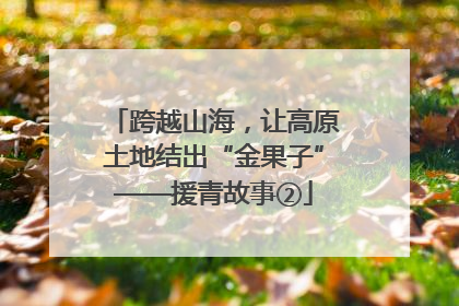 跨越山海，让高原土地结出“金果子”——援青故事②