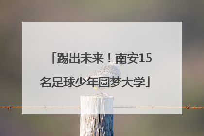 踢出未来！南安15名足球少年圆梦大学