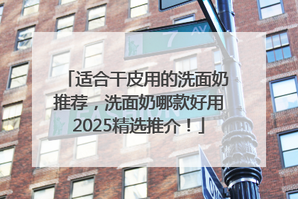 适合干皮用的洗面奶推荐，洗面奶哪款好用2025精选推介！