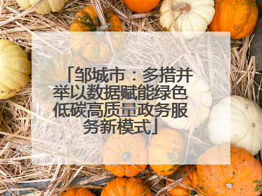 邹城市：多措并举以数据赋能绿色低碳高质量政务服务新模式