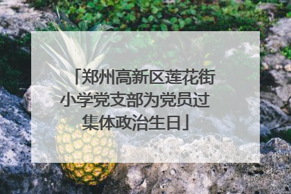 郑州高新区莲花街小学党支部为党员过集体政治生日