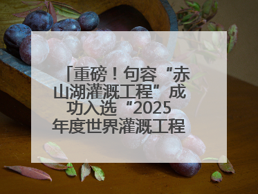 重磅！句容“赤山湖灌溉工程”成功入选“2025年度世界灌溉工程遗产”