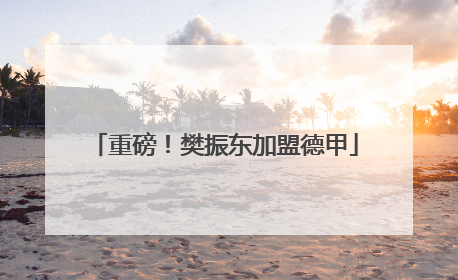 重磅！樊振东加盟德甲