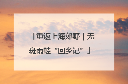 重返上海郊野｜无斑雨蛙“回乡记”
