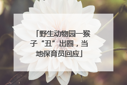 野生动物园一猴子“丑”出圈，当地保育员回应