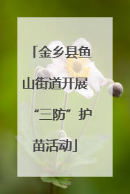 金乡县鱼山街道开展“三防”护苗活动