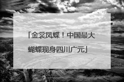 金裳凤蝶！中国最大蝴蝶现身四川广元