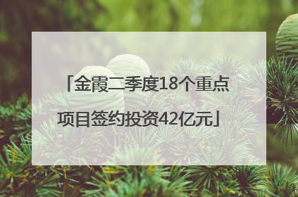 金霞二季度18个重点项目签约投资42亿元