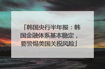 韩国央行半年报：韩国金融体系基本稳定，要警惕美国关税风险