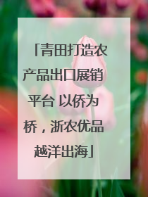 青田打造农产品出口展销平台 以侨为桥，浙农优品越洋出海