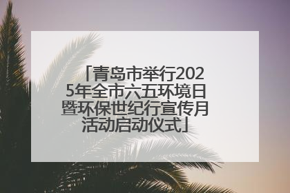 青岛市举行2025年全市六五环境日暨环保世纪行宣传月活动启动仪式