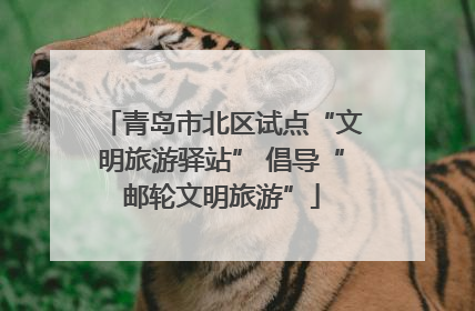 青岛市北区试点“文明旅游驿站” 倡导“邮轮文明旅游”