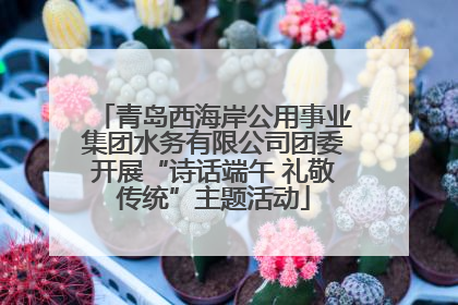 青岛西海岸公用事业集团水务有限公司团委开展“诗话端午 礼敬传统”主题活动
