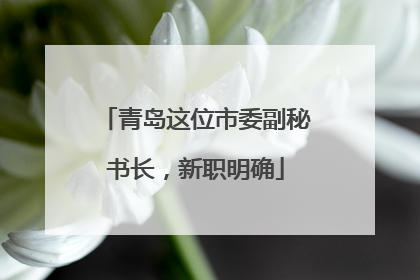 青岛这位市委副秘书长，新职明确