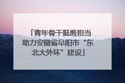 青年骨干挺膺担当 助力安徽省阜阳市“东北大外环”建设