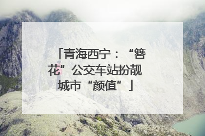 青海西宁：“簪花”公交车站扮靓城市“颜值”
