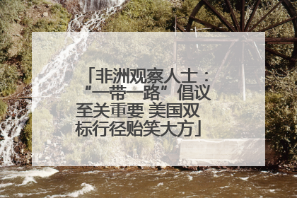 非洲观察人士：“一带一路”倡议至关重要 美国双标行径贻笑大方