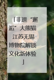 非遗“邂逅”大熊猫 江苏无锡博物院解锁文化新体验