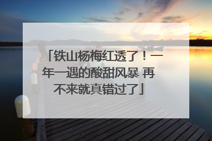 铁山杨梅红透了！一年一遇的酸甜风暴 再不来就真错过了