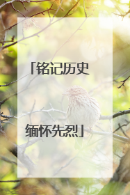 铭记历史 缅怀先烈
