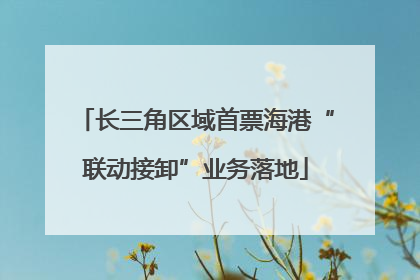 长三角区域首票海港“联动接卸”业务落地