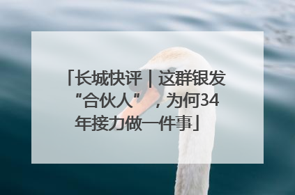 长城快评｜这群银发“合伙人”，为何34年接力做一件事