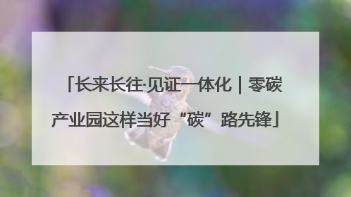 长来长往·见证一体化｜零碳产业园这样当好“碳”路先锋