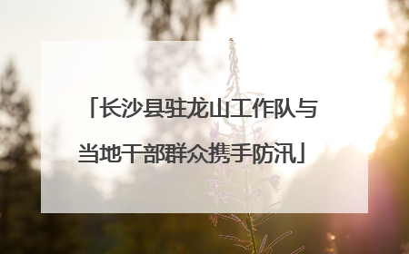长沙县驻龙山工作队与当地干部群众携手防汛