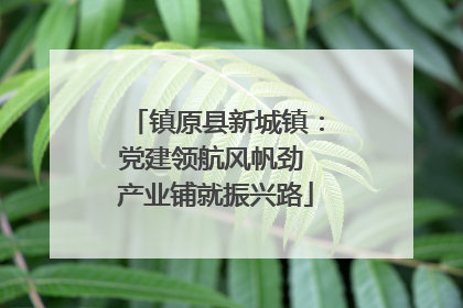 镇原县新城镇：党建领航风帆劲 产业铺就振兴路