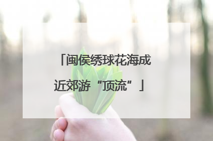 闽侯绣球花海成近郊游“顶流”