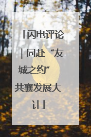 闪电评论｜同赴“友城之约” 共襄发展大计