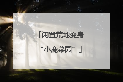 闲置荒地变身“小鹿菜园”