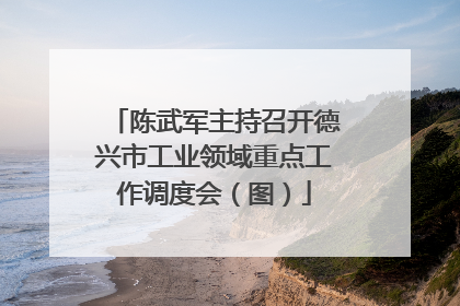 陈武军主持召开德兴市工业领域重点工作调度会（图）