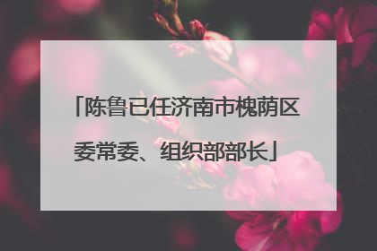 陈鲁已任济南市槐荫区委常委、组织部部长