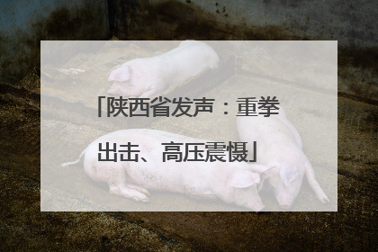 陕西省发声：重拳出击、高压震慑