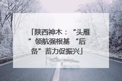 陕西神木：“头雁”领航强根基 “后备”蓄力促振兴
