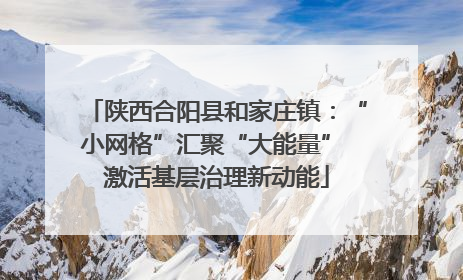 陕西合阳县和家庄镇：“小网格”汇聚“大能量” 激活基层治理新动能