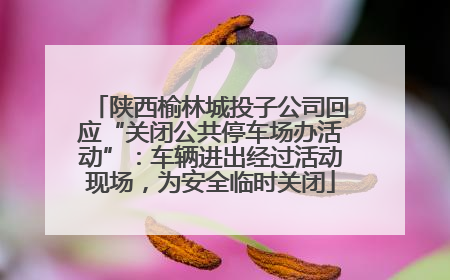 陕西榆林城投子公司回应“关闭公共停车场办活动”：车辆进出经过活动现场，为安全临时关闭