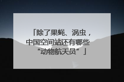 除了果蝇、涡虫，中国空间站还有哪些“动物航天员”