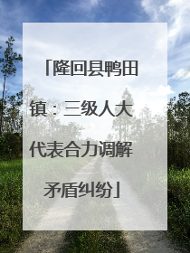 隆回县鸭田镇：三级人大代表合力调解矛盾纠纷