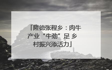 隆德张程乡：肉牛产业“牛劲”足 乡村振兴添活力