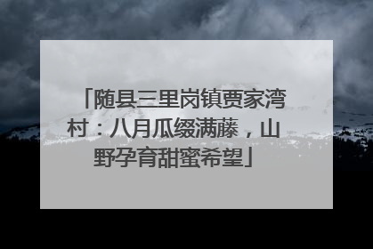随县三里岗镇贾家湾村：八月瓜缀满藤，山野孕育甜蜜希望