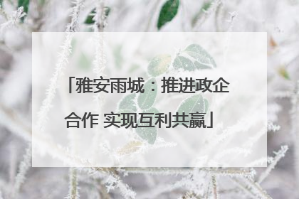 雅安雨城：推进政企合作 实现互利共赢