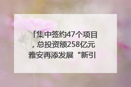集中签约47个项目，总投资额258亿元 雅安再添发展“新引擎”｜数读西投