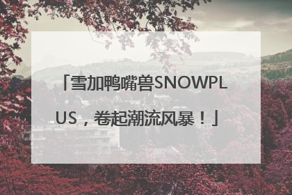 雪加鸭嘴兽SNOWPLUS，卷起潮流风暴！