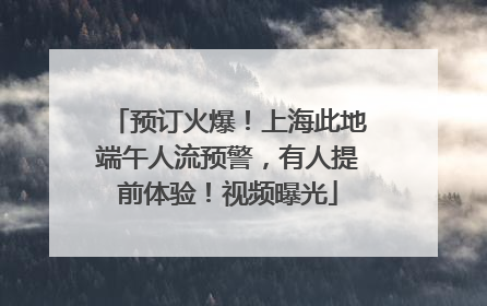预订火爆！上海此地端午人流预警，有人提前体验！视频曝光