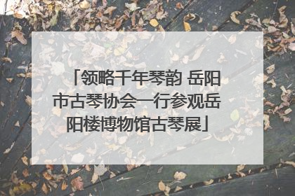领略千年琴韵 岳阳市古琴协会一行参观岳阳楼博物馆古琴展