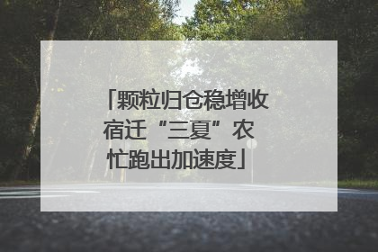 颗粒归仓稳增收 宿迁“三夏”农忙跑出加速度